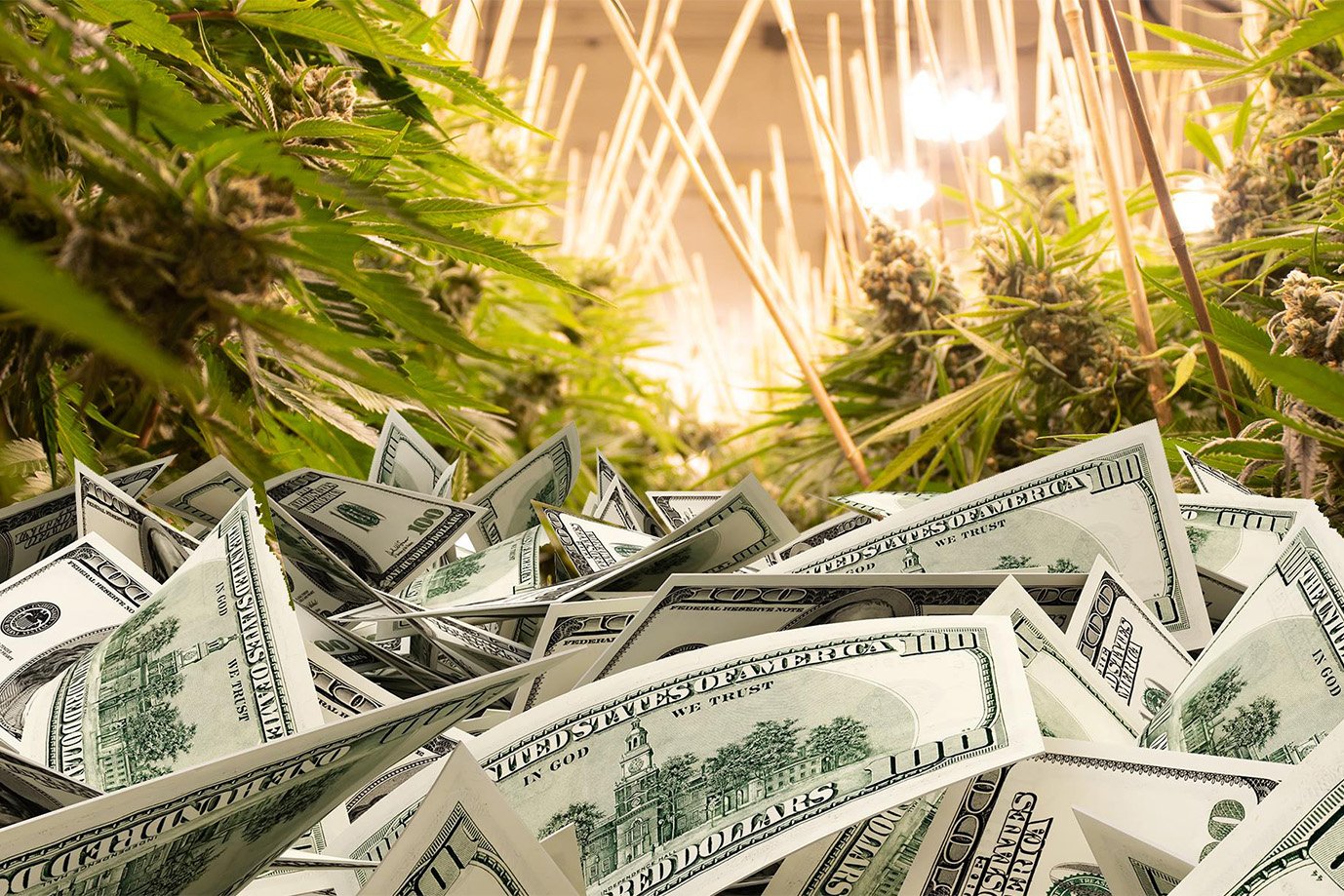 Canna Business Loans